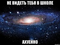 не видеть тебя в школе ахуенно