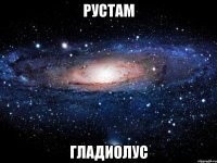 рустам гладиолус