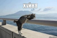 хуйня