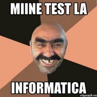 miine test la informatica