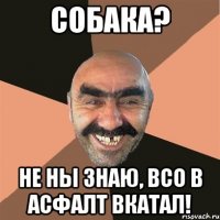 собака? не ны знаю, всо в асфалт вкатал!