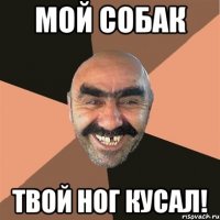 мой собак твой ног кусал!