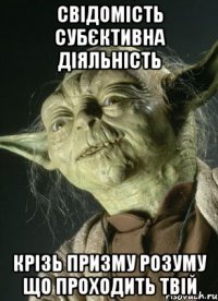 свідомість субєктивна діяльність крізь призму розуму що проходить твій