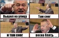 Вышел на улицу Там снег и там снег весна блять