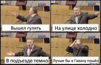 Вышел гулять На улице холодно В подъезде темно Лучше бы в Гавану пошёл