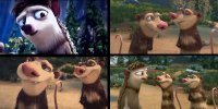 Possums