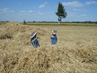  с возвращение с луны-1, Мем типичная таня