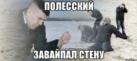 полесский завайпал стену