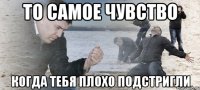 то самое чувство когда тебя плохо подстригли