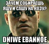 зачем собираешь яшу и сашу на козу? dniwe ebannoe