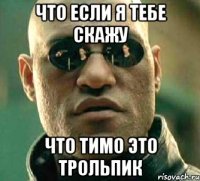 что если я тебе скажу что тимо это трольпик