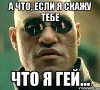 а что, если я скажу тебе что я гей...