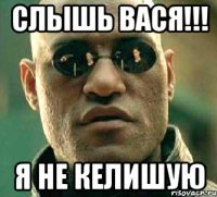 слышь вася!!! я не келишую