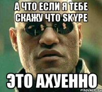 а что если я тебе скажу что skype это ахуенно