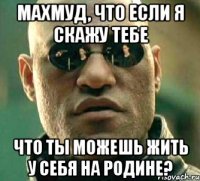 махмуд, что если я скажу тебе что ты можешь жить у себя на родине?