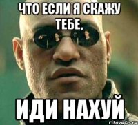 что если я скажу тебе, иди нахуй