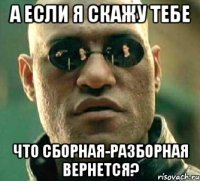 а если я скажу тебе что сборная-разборная вернется?