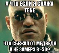 а что если я скажу тебе что сбежал от медведя и не замерз в -50?