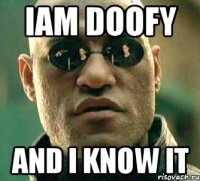 iam doofy and i know it