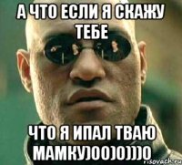 а что если я скажу тебе что я ипал тваю мамку)00)0)))0