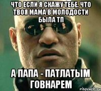 что если я скажу тебе, что твоя мама в молодости была тп а папа - патлатым говнарем