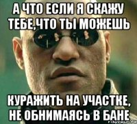 а что если я скажу тебе,что ты можешь куражить на участке, не обнимаясь в бане