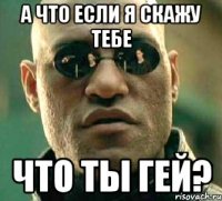 а что если я скажу тебе что ты гей?