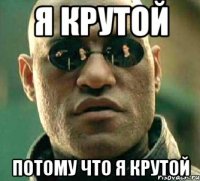 я крутой потому что я крутой