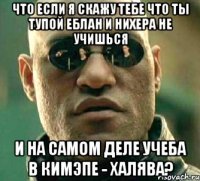 что если я скажу тебе что ты тупой еблан и нихера не учишься и на самом деле учеба в кимэпе - халява?