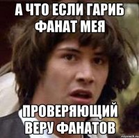 а что если гариб фанат мея проверяющий веру фанатов