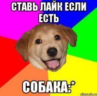 ставь лайк если есть собака:*