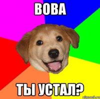 вова ты устал?