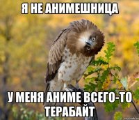 я не анимешница у меня аниме всего-то терабайт