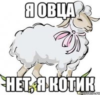 я овца нет, я котик