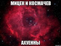 мицек и космачев ахуенны