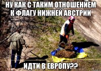 ну как с таким отношением к флагу нижней австрии идти в европу??