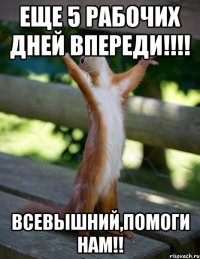 еще 5 рабочих дней впереди!!! всевышний,помоги нам!!