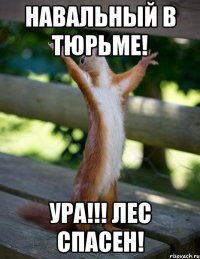 навальный в тюрьме! ура!!! лес спасен!