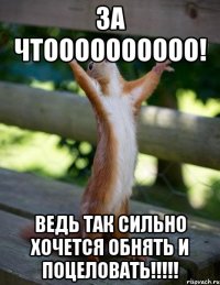 за чтоооооооооо! ведь так сильно хочется обнять и поцеловать!!!