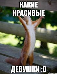 какие красивые девушки :d