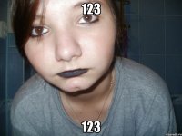 123 123