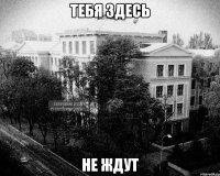 тебя здесь не ждут