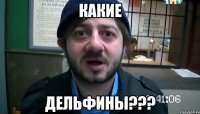 какие дельфины???