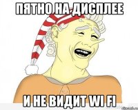 пятно на дисплее и не видит wi fi