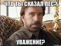 что ты сказал пес? уважение?