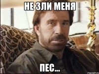 не зли меня пес...