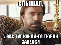 слышал, у вас тут какой-то тюрин завелся