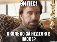 эй пес! сколько за неделю в кассе?