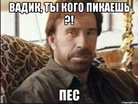 вадик, ты кого пикаешь ?! пес
