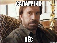 саламчик пёс